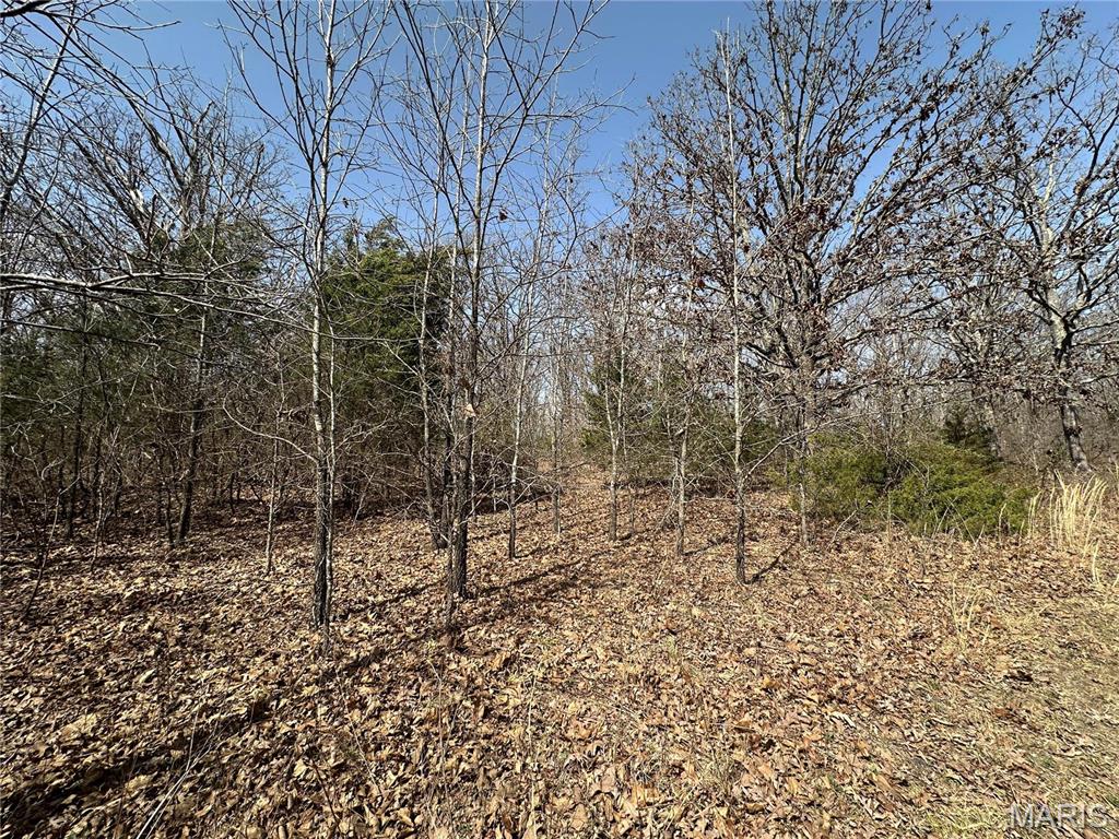 Photo 47 - Residential for sale – 2441 N Highway 19   Salem, MO