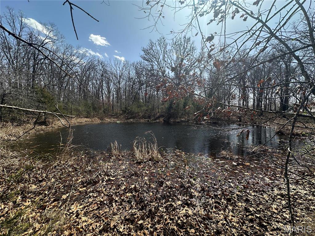 Photo 38 - Residential for sale – 2441 N Highway 19   Salem, MO
