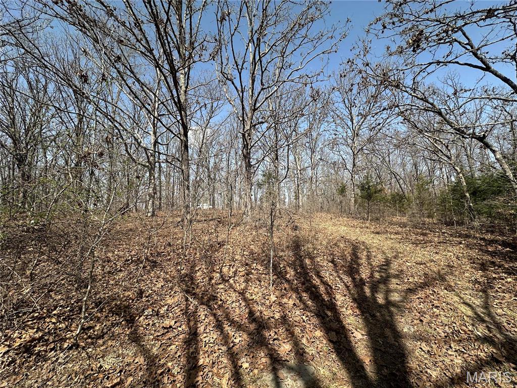 Photo 44 - Residential for sale – 2441 N Highway 19   Salem, MO