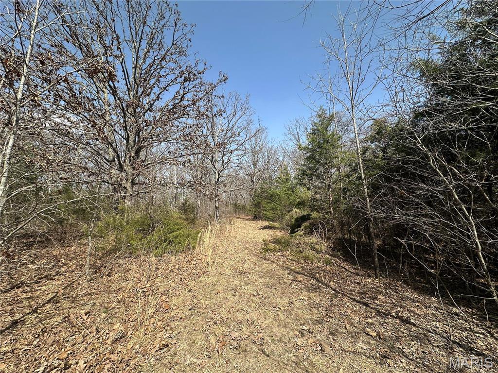 Photo 48 - Residential for sale – 2441 N Highway 19   Salem, MO