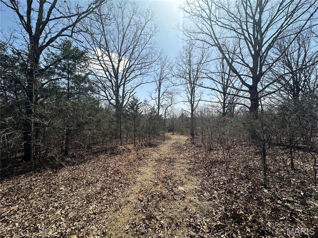 Photo 46 - Residential for sale – 2441 N Highway 19   Salem, MO