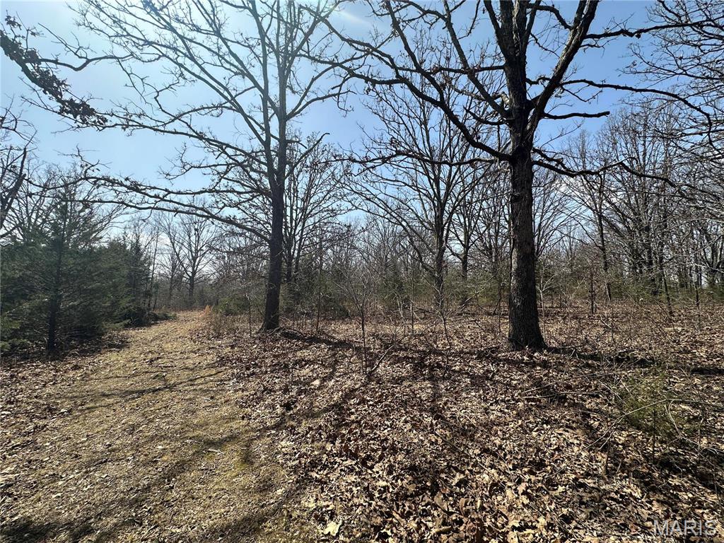 Photo 45 - Residential for sale – 2441 N Highway 19   Salem, MO
