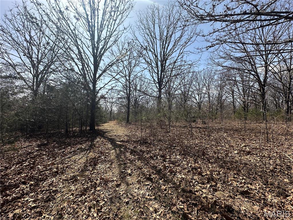 Photo 43 - Residential for sale – 2441 N Highway 19   Salem, MO