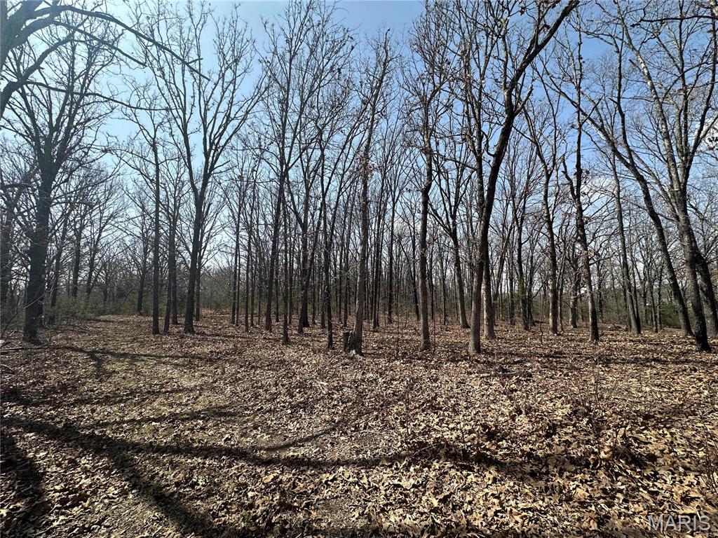Photo 49 - Residential for sale – 2441 N Highway 19   Salem, MO