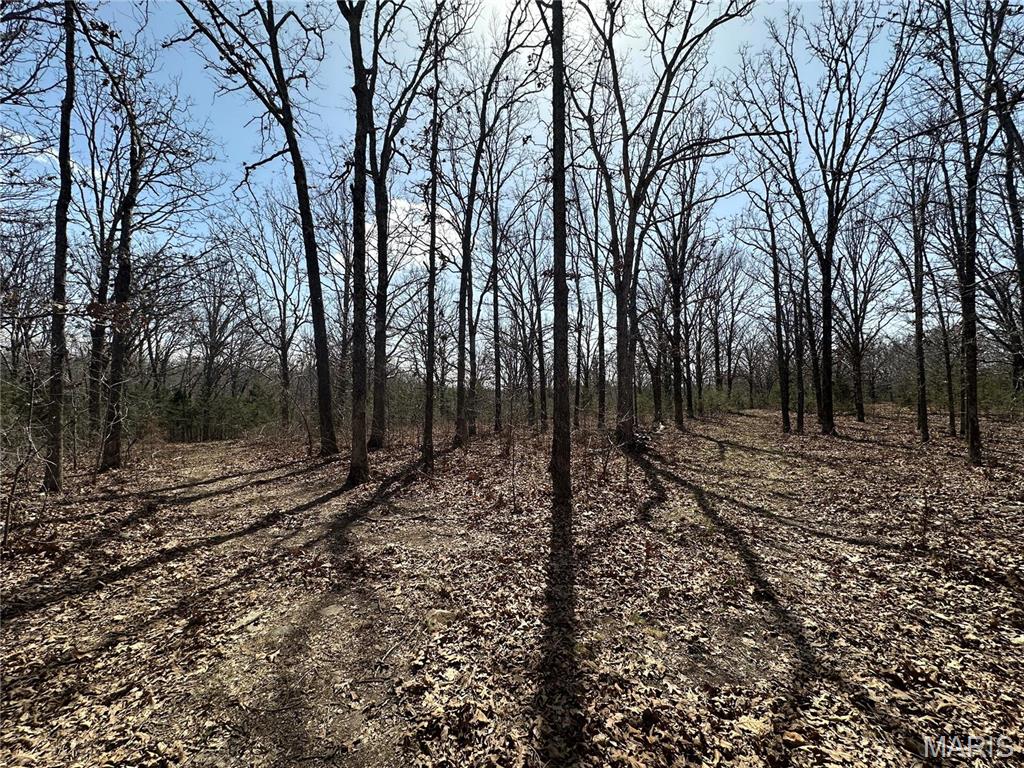 Photo 42 - Residential for sale – 2441 N Highway 19   Salem, MO