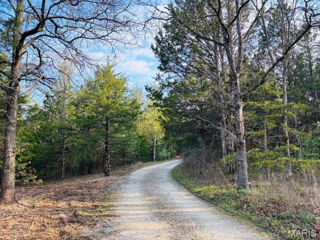 Photo 5 - Residential for sale – 19125  County Road 1220   St James, MO