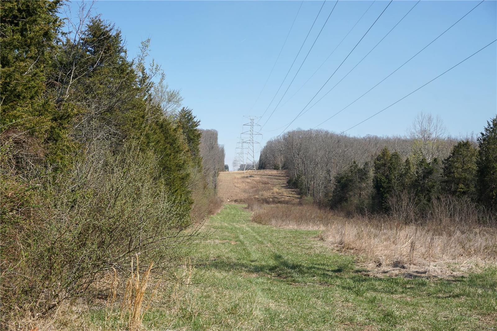 Photo 3 - Farm for sale – 0  Dillon Outer Road  St James, MO