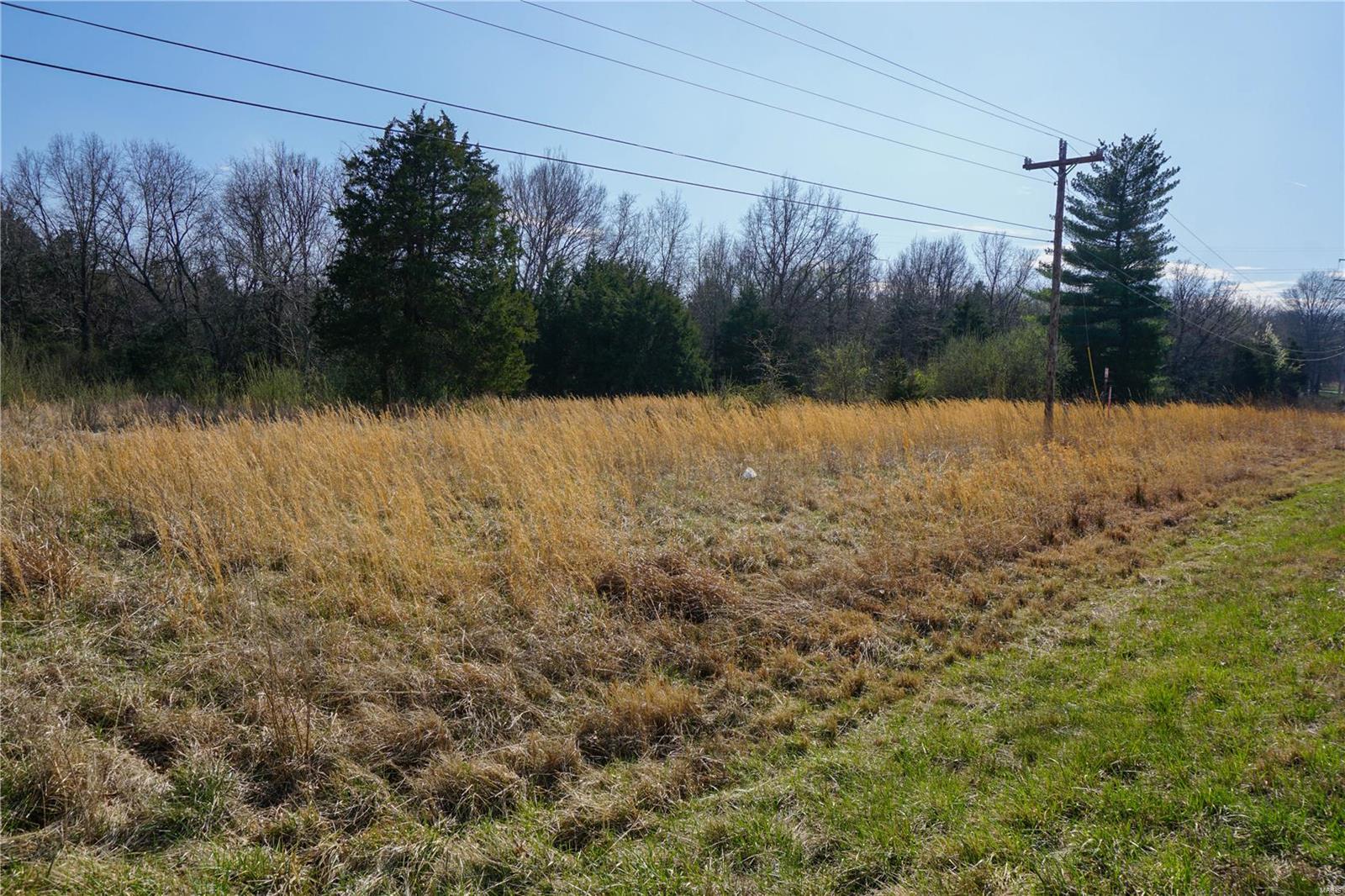 Photo 5 - Farm for sale – 0  Dillon Outer Road  St James, MO
