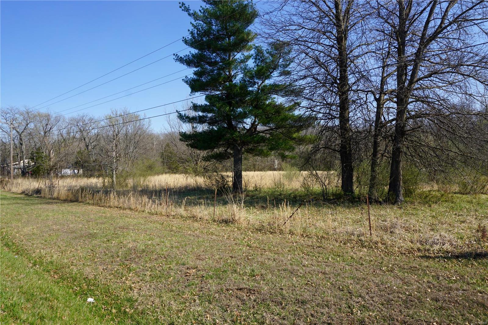 Photo 4 - Farm for sale – 0  Dillon Outer Road  St James, MO