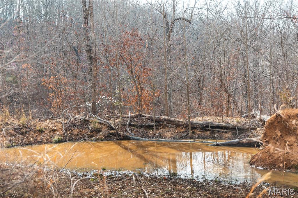 Photo 19 - Farm for sale – 0  Maries Road 519   Vienna, MO