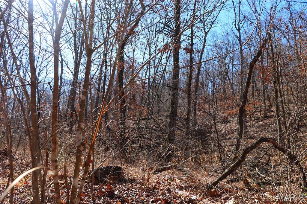Photo 9 - Farm for sale – 0  Maries Road 519   Vienna, MO