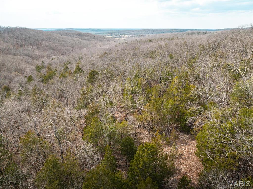 Photo 31 - Farm for sale – 0  Maries Road 519   Vienna, MO