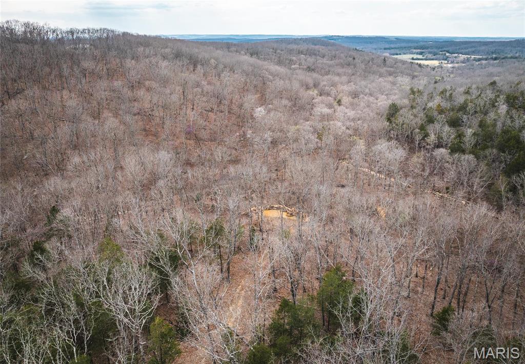 Photo 24 - Farm for sale – 0  Maries Road 519   Vienna, MO