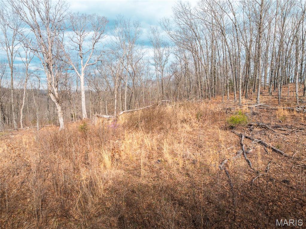 Photo 15 - Farm for sale – 0  Maries Road 519   Vienna, MO