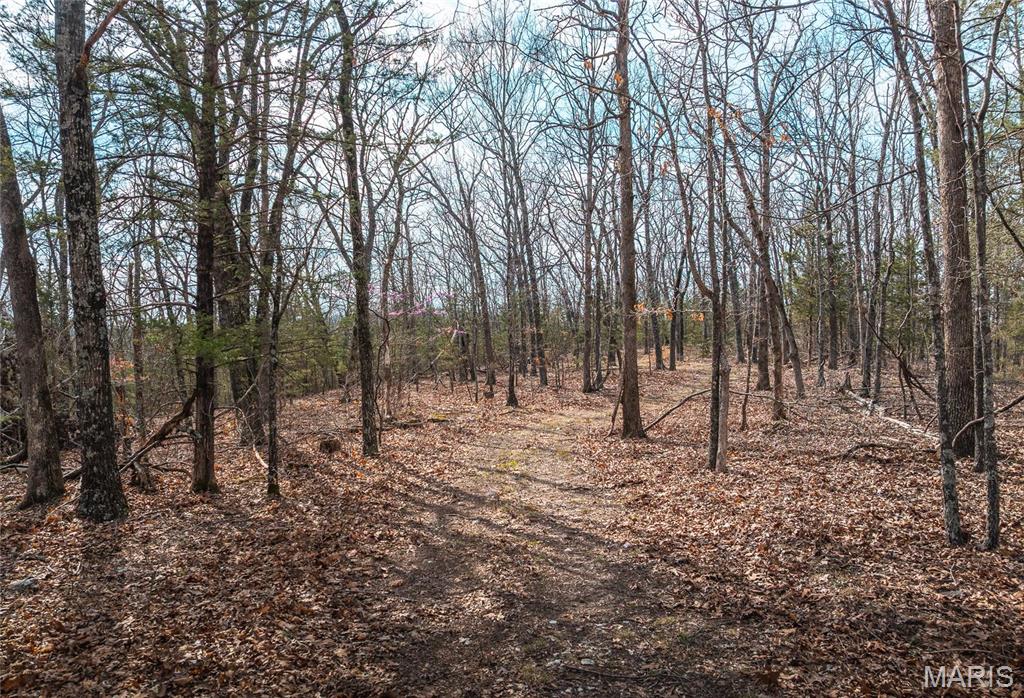 Photo 16 - Farm for sale – 0  Maries Road 519   Vienna, MO