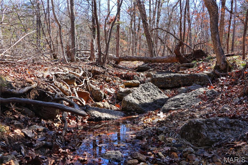 Photo 10 - Farm for sale – 0  Maries Road 519   Vienna, MO