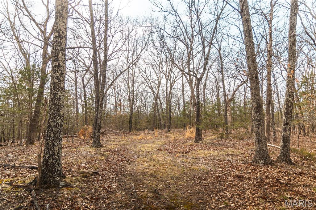 Photo 39 - Farm for sale – 0  Maries Road 519   Vienna, MO