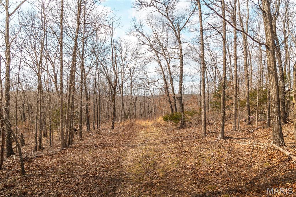 Photo 38 - Farm for sale – 0  Maries Road 519   Vienna, MO