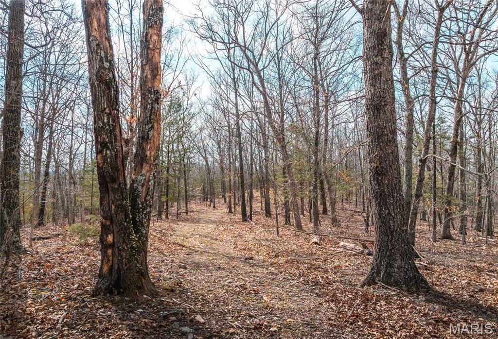 Photo 34 - Farm for sale – 0  Maries Road 519   Vienna, MO
