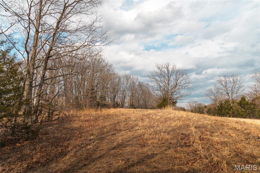 Photo 20 - Farm for sale – 0  Maries Road 519   Vienna, MO