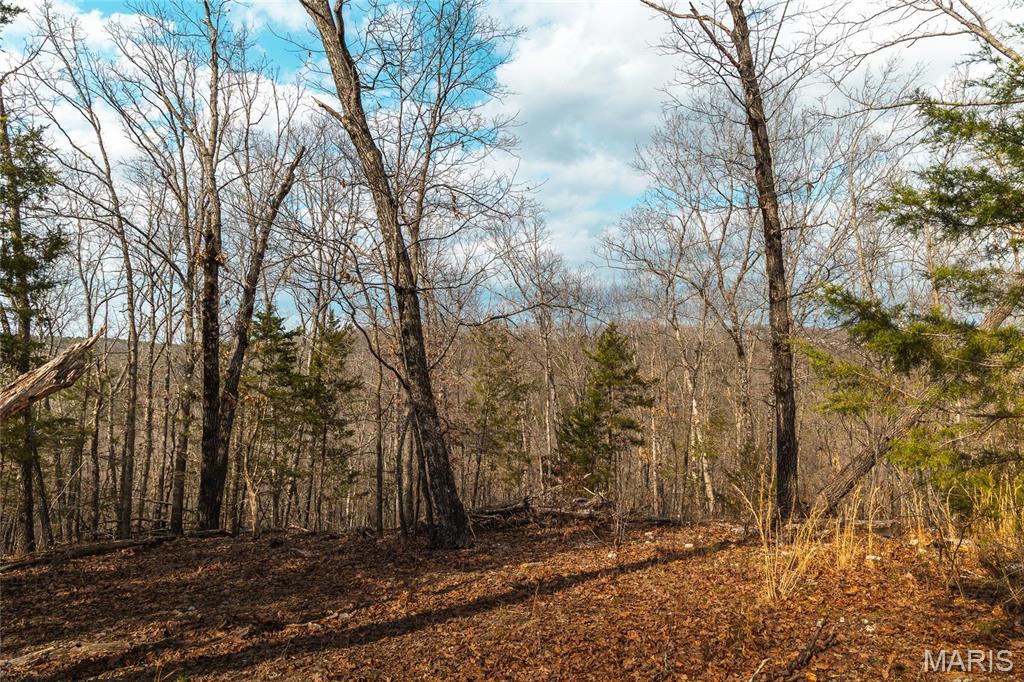 Photo 40 - Farm for sale – 0  Maries Road 519   Vienna, MO