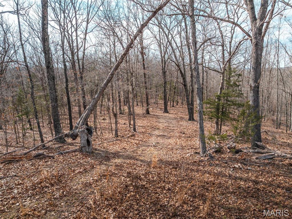Photo 33 - Farm for sale – 0  Maries Road 519   Vienna, MO