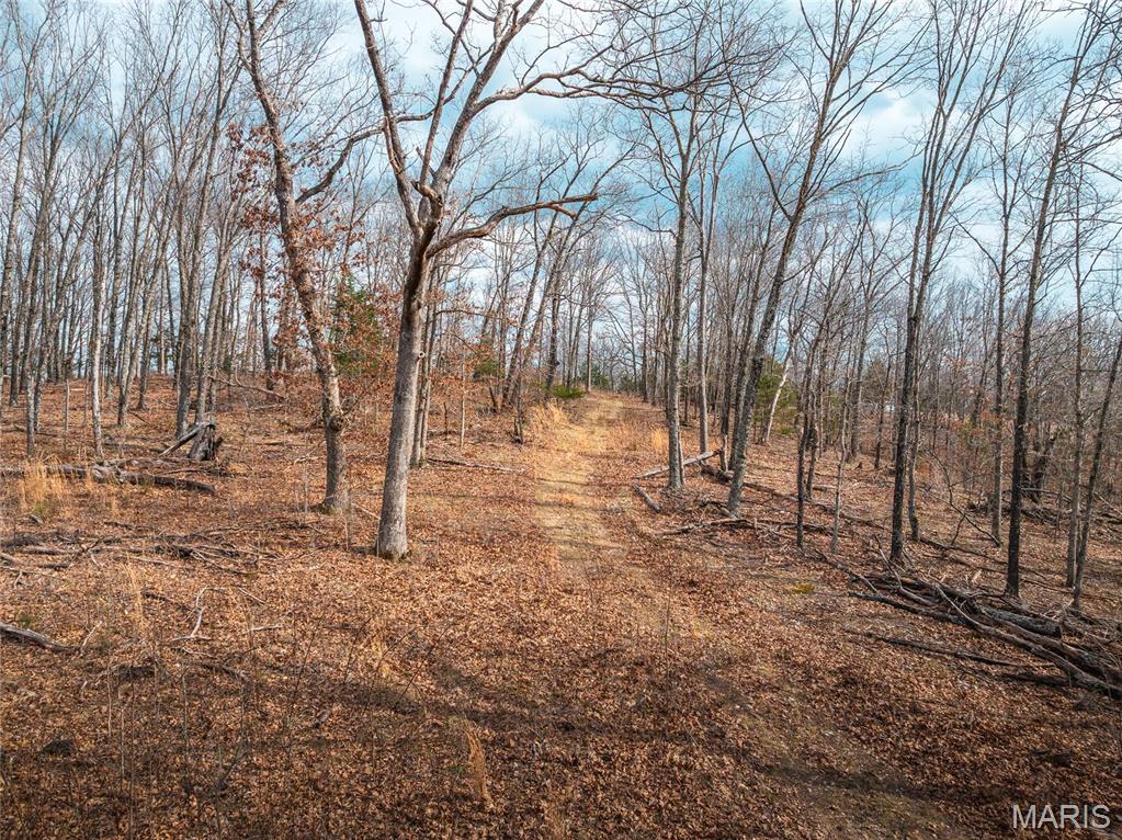Photo 32 - Farm for sale – 0  Maries Road 519   Vienna, MO