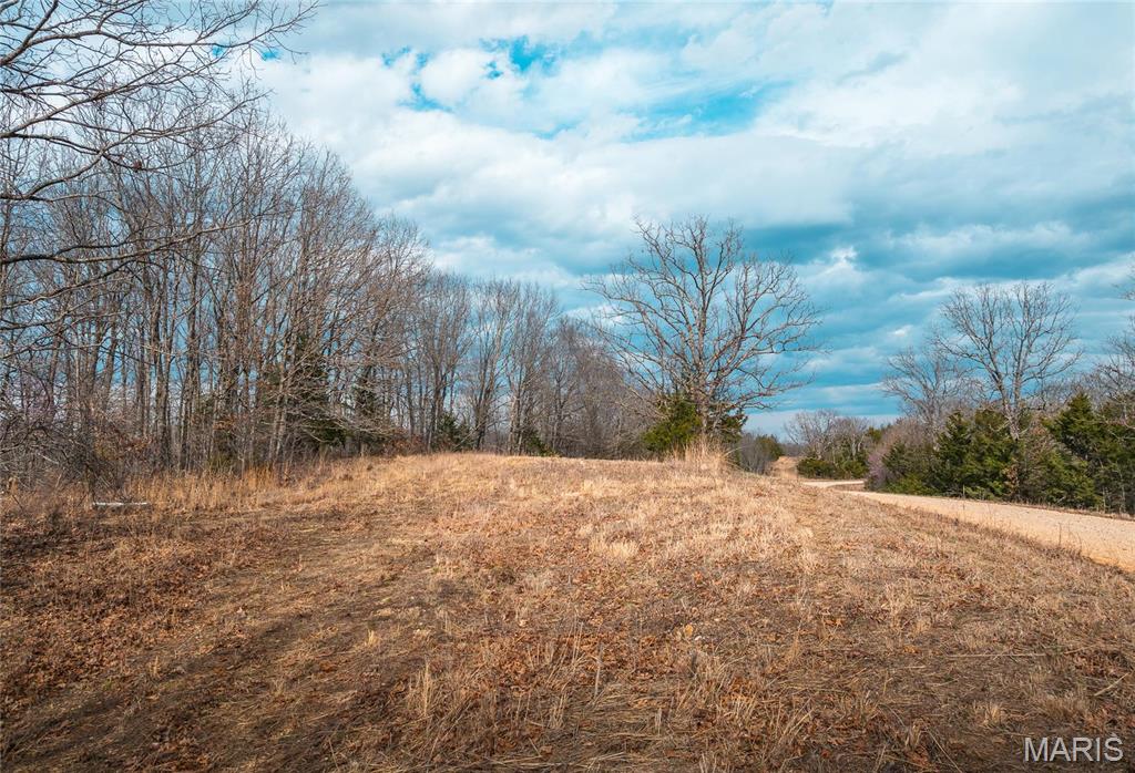 Photo 14 - Farm for sale – 0  Maries Road 519   Vienna, MO