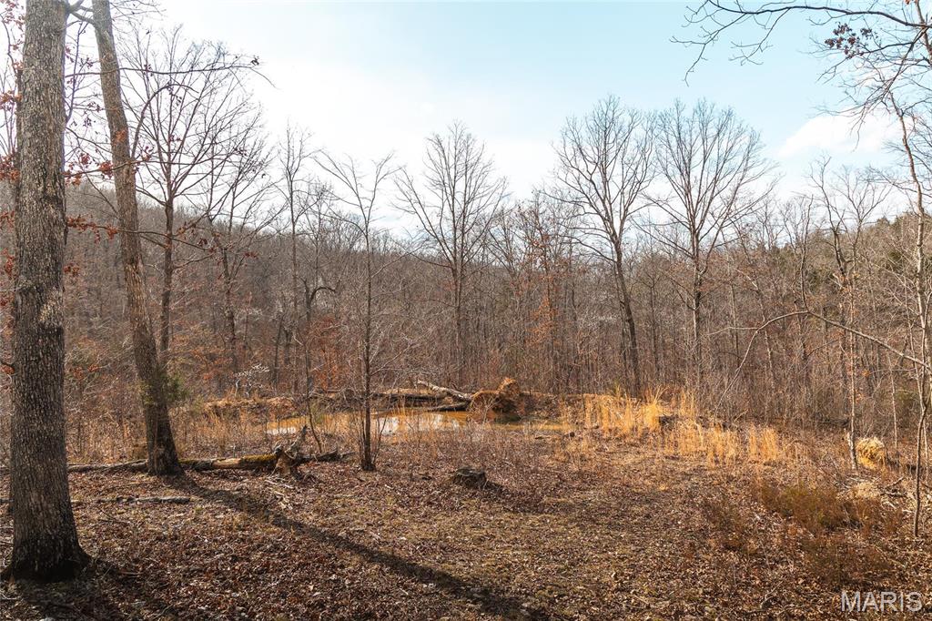 Photo 42 - Farm for sale – 0  Maries Road 519   Vienna, MO