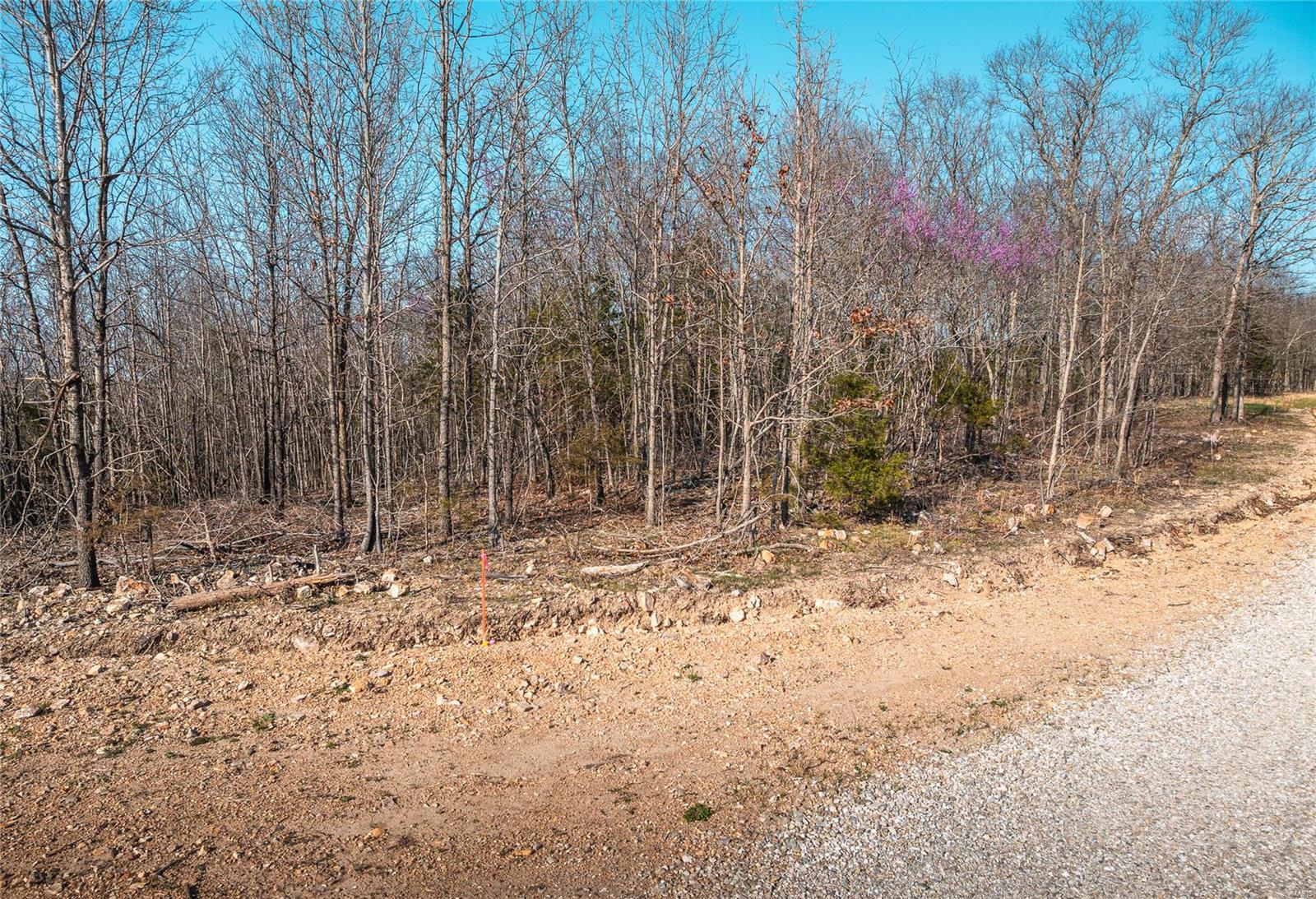 Photo 15 - Land for sale – 0  Private Drive 5294   Rolla, MO