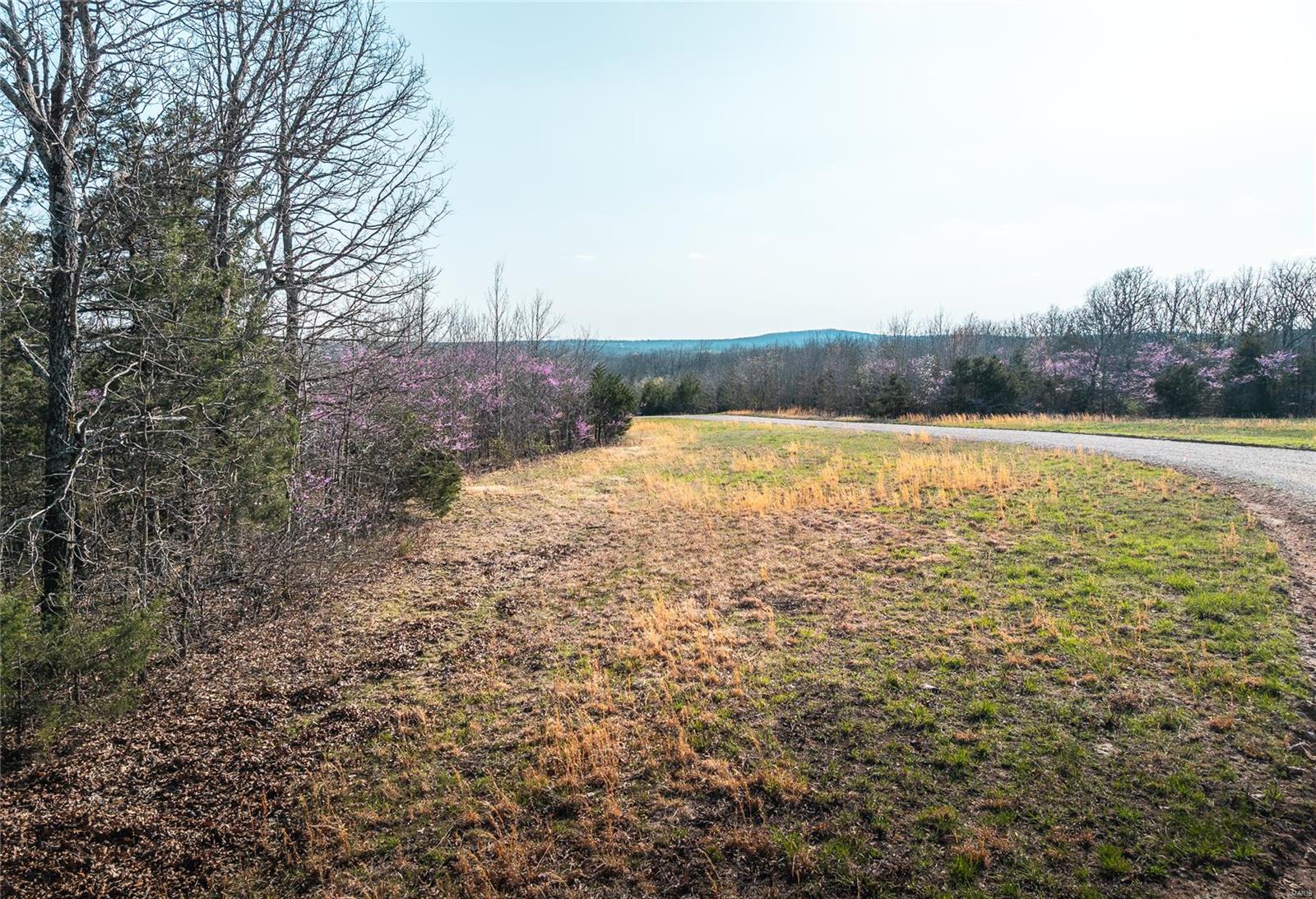 Photo 16 - Land for sale – 0  Private Drive 5294   Rolla, MO