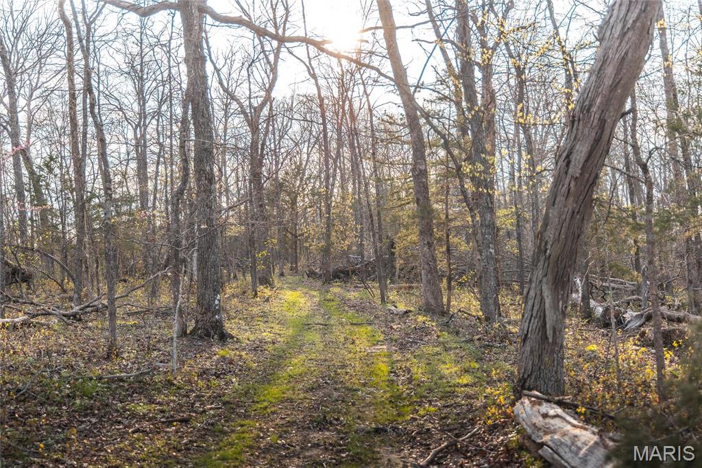 Photo 35 - Farm for sale – 32271  Maries Road 213   Vienna, MO