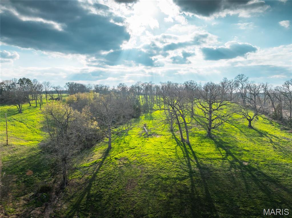 Photo 7 - Farm for sale – 32271  Maries Road 213   Vienna, MO