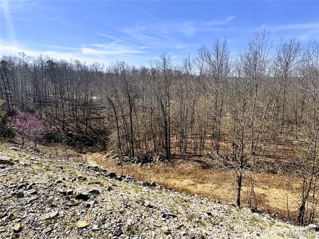 Photo 41 - Farm for sale – 891  Highway 17   Unincorporated, MO