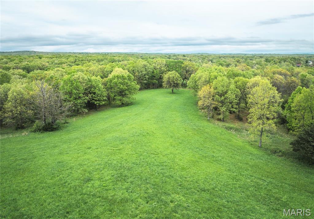 Photo 44 - Farm for sale – 2391  Highway MM   Leasburg, MO