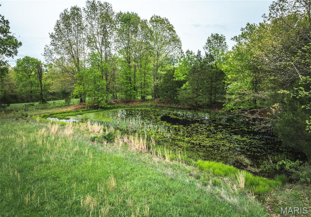 Photo 35 - Farm for sale – 2391  Highway MM   Leasburg, MO