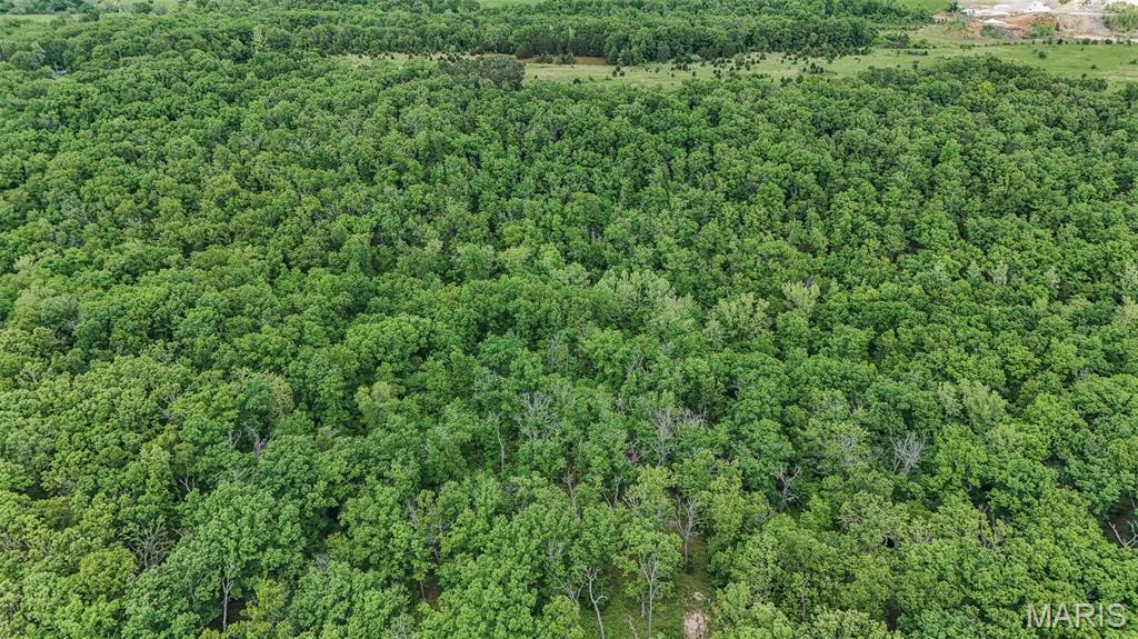 Photo 88 - Commercial Sale for sale – 13419  State Route CC   Rolla, MO