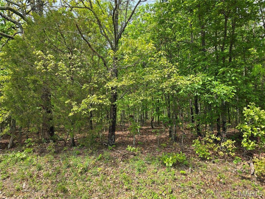 Farm/Ranch/Land for sale – 18896  Highway H   Elk Creek, MO