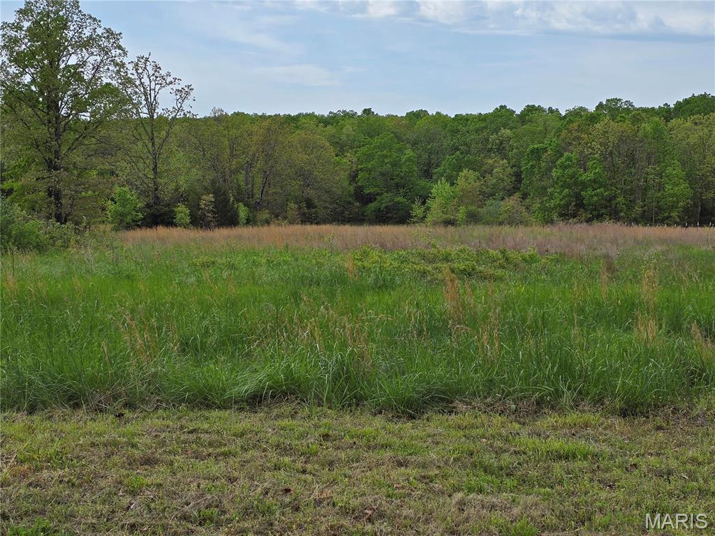 Farm/Ranch/Land for sale – 18896  Highway H   Elk Creek, MO