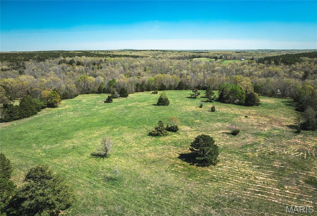 Photo 12 - Farm for sale – 0  Forest Service Road 1792   Beulah, MO