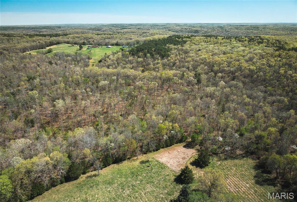 Photo 19 - Farm for sale – 0  Forest Service Road 1792   Beulah, MO
