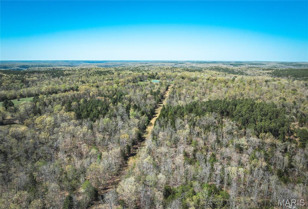Photo 24 - Farm for sale – 0  Forest Service Road 1792   Beulah, MO