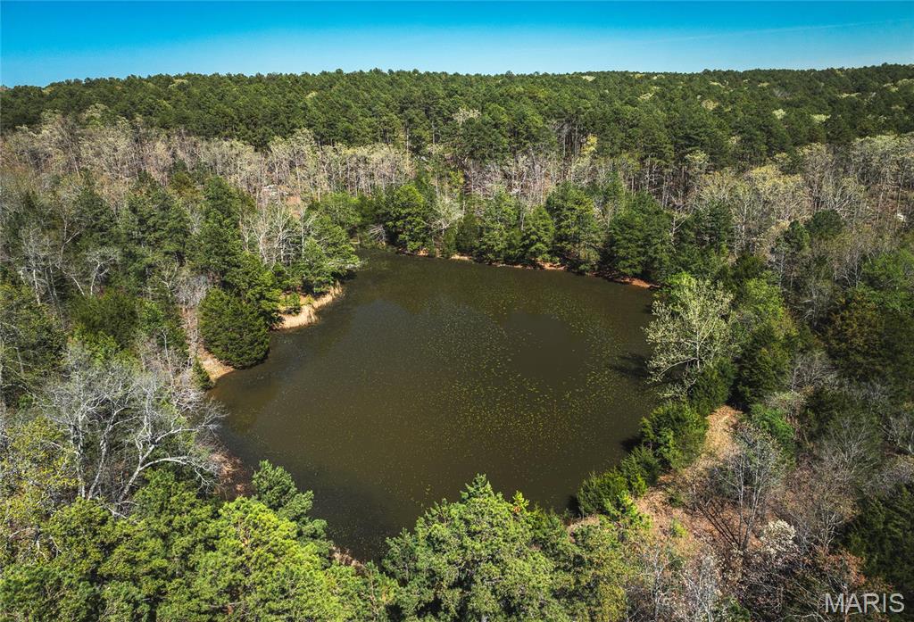 Photo 27 - Farm for sale – 0  Forest Service Road 1792   Beulah, MO
