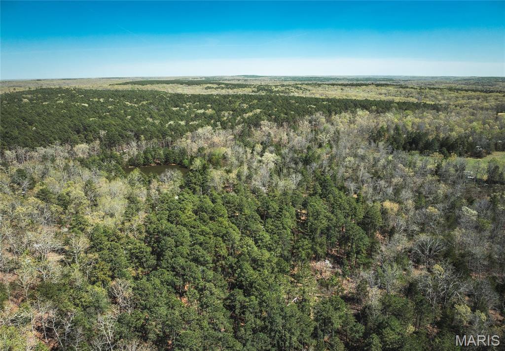 Photo 41 - Farm for sale – 0  Forest Service Road 1792   Beulah, MO