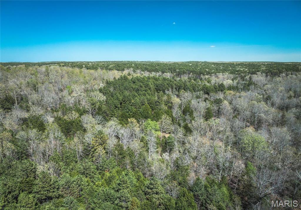 Photo 38 - Farm for sale – 0  Forest Service Road 1792   Beulah, MO