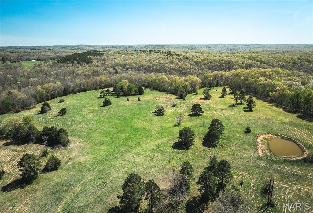 Photo 10 - Farm for sale – 0  Forest Service Road 1792   Beulah, MO