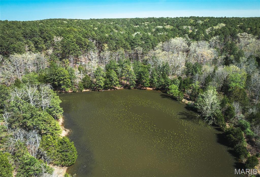 Photo 13 - Farm for sale – 0  Forest Service Road 1792   Beulah, MO