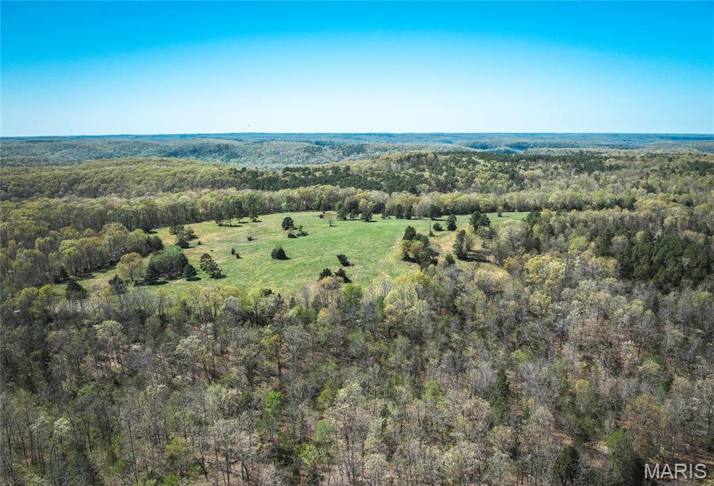 Photo 23 - Farm for sale – 0  Forest Service Road 1792   Beulah, MO