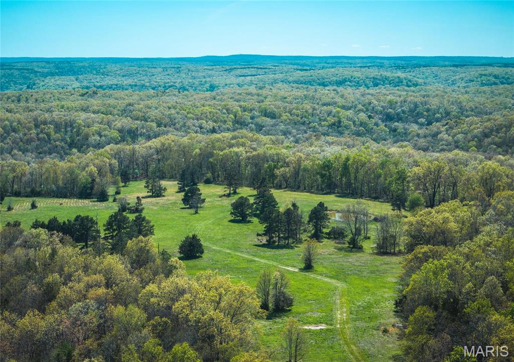 Photo 33 - Farm for sale – 0  Forest Service Road 1792   Beulah, MO