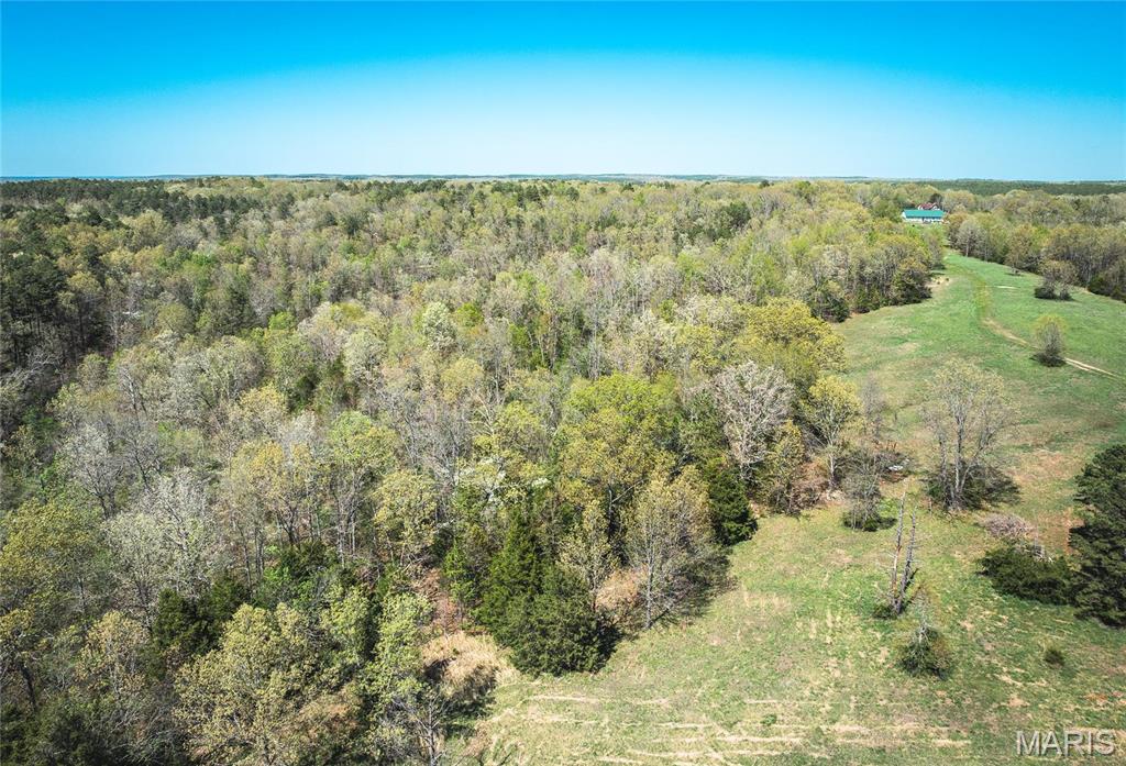 Photo 15 - Farm for sale – 0  Forest Service Road 1792   Beulah, MO